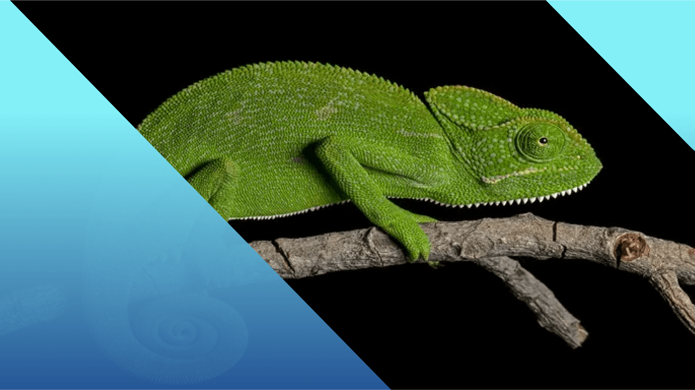 Fileless Malware Attacks: How to Prevent Them - ThreatDown by Malwarebytes